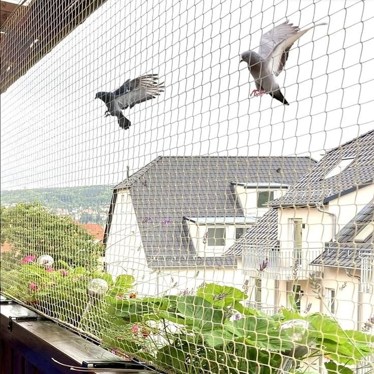 Pigeon safety nets installed on balcony by JNS Safety Nets Hyderabad - effective bird control solution
